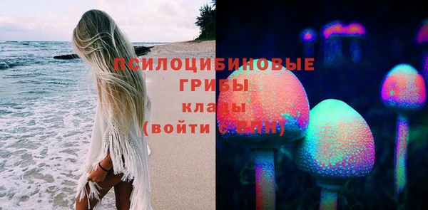 ПСИЛОЦИБИНОВЫЕ ГРИБЫ Киренск