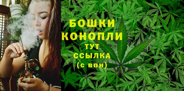 ПСИЛОЦИБИНОВЫЕ ГРИБЫ Киренск