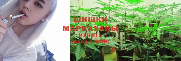 MESCALINE Козловка